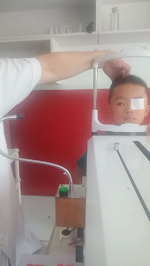 老花鏡 什么老花鏡 廈門琴島眼鏡 誠(chéng)信商家 高清圖片 高清大圖
