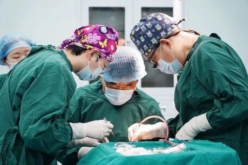 老人患 眼癌 15年 眼瞼出現腫物不可輕視